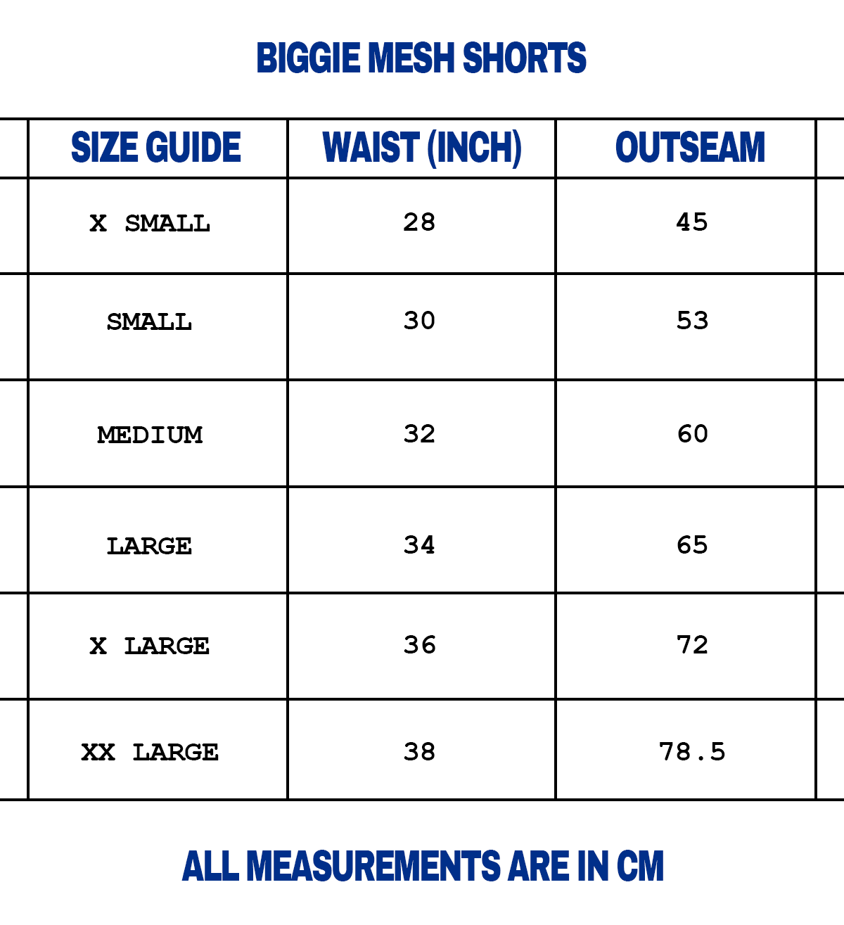 BIGGIE MESH SHORTS [BLACK]